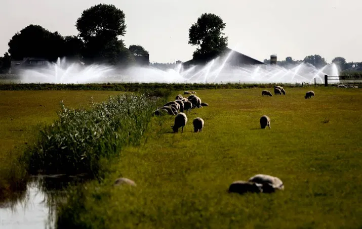 droogteclaims stromen binnen bij verzekeraars