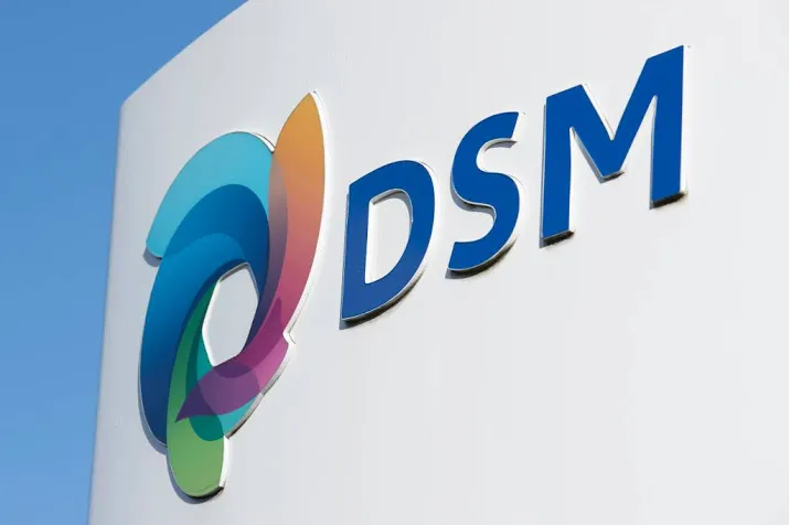 dsm optimistisch na sterk einde van 2017