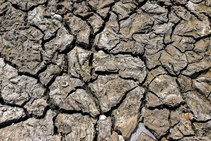 duitse boeren vrezen mislukte oogsten door droogte
