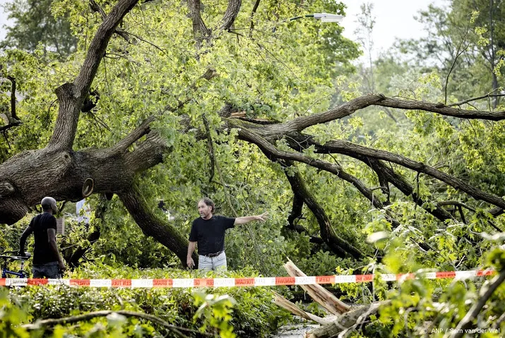 duizenden bomen omgewaaid in bossen bij leersum door noodweer