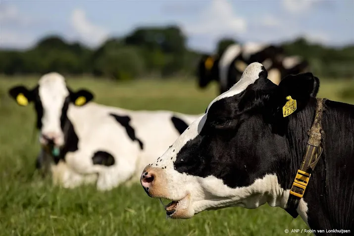duurzaam melkveebedrijf doet het ook economisch beter volgens wur