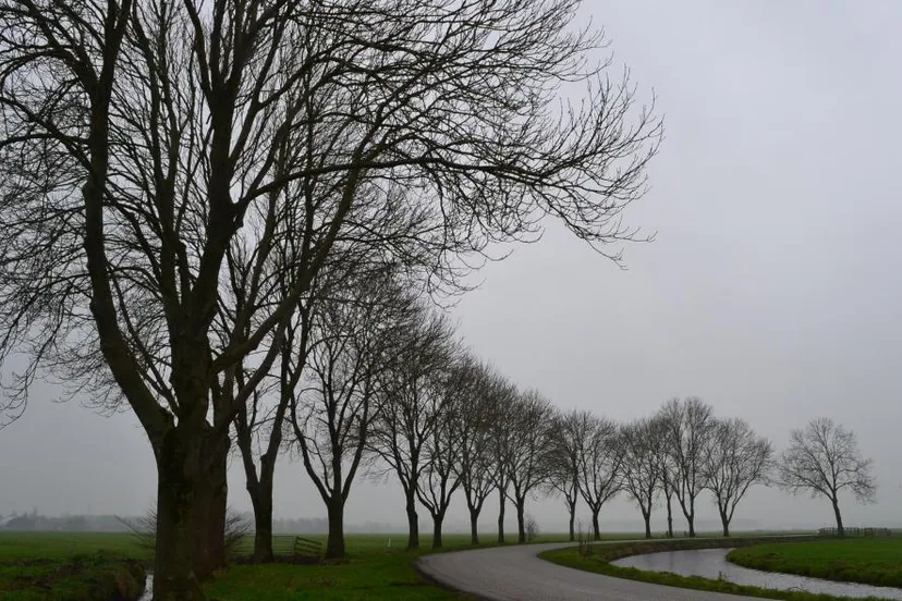 ed van der padt ridderkerk 1