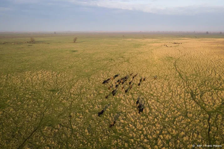 edelherten oostvaardersplassen mogen worden afgeschoten