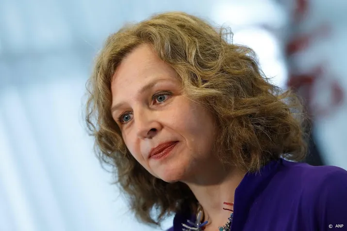 edith schippers aan de slag bij dsm nederland