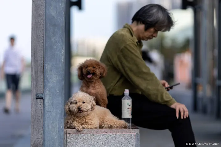 eerste hond met corona in hongkong
