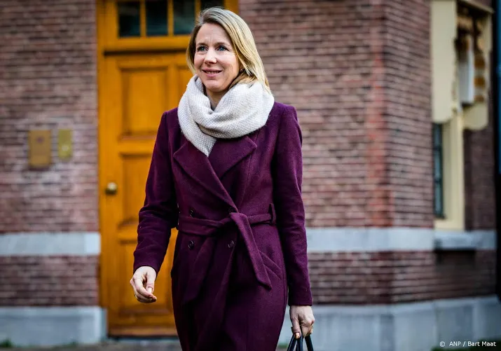 eerste kamer dwarsboomt verbod op asbestdaken