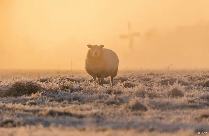 eerste lokale strenge vorst van de winter 101 graden in eelde