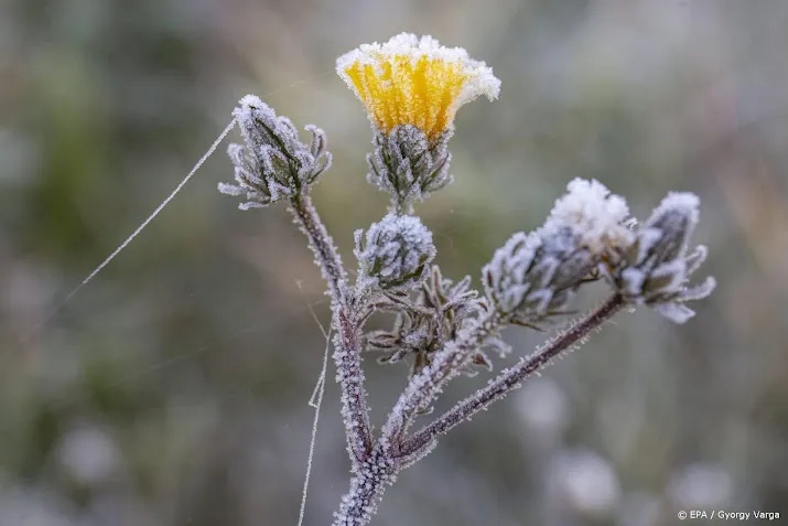 eerste matige vorst deze winter gemeten in het noordoosten