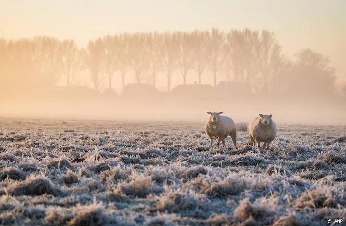 eerste officiele matige vorst van het najaar gemeten in de bilt