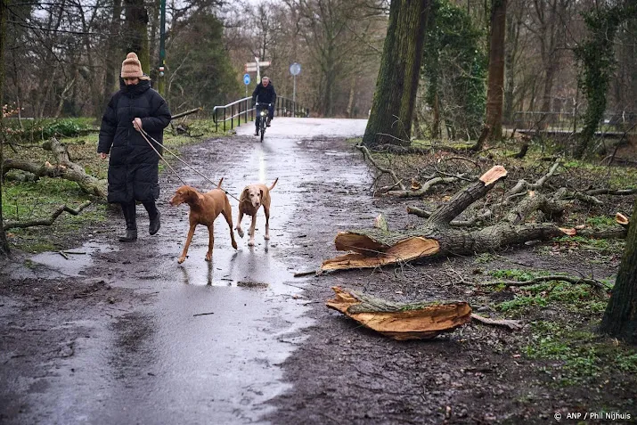 eerste storm van het jaar een feit
