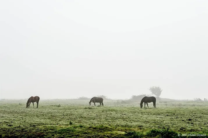 eet geen dierendag dit jaar vooral online