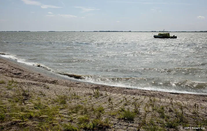 eet zo min mogelijk vis uit westerschelde vanwege pfas zegt rivm