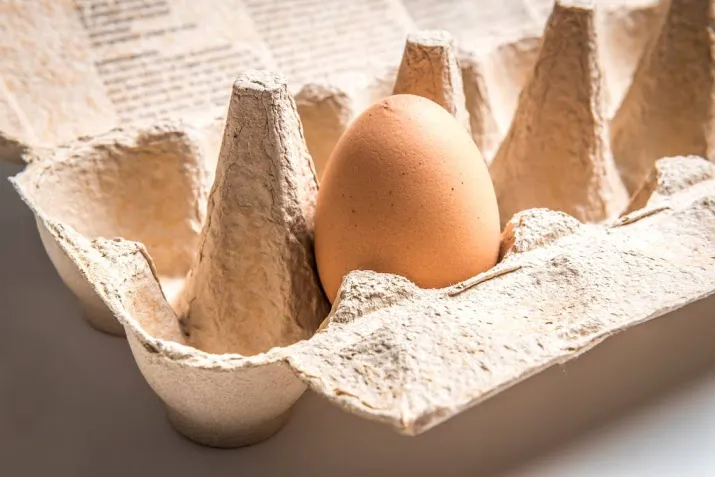 eieren van hen zonder broertje in de schappen