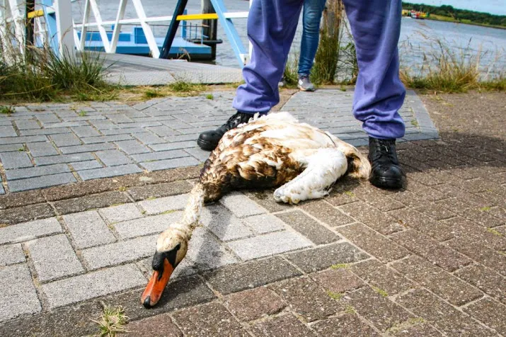 eigenaar lekkende olietanker aansprakelijk