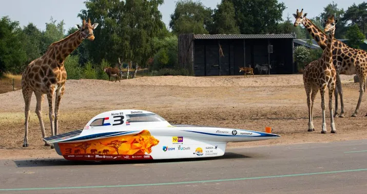 eindsprint delftse zonneauto in zuid afrika