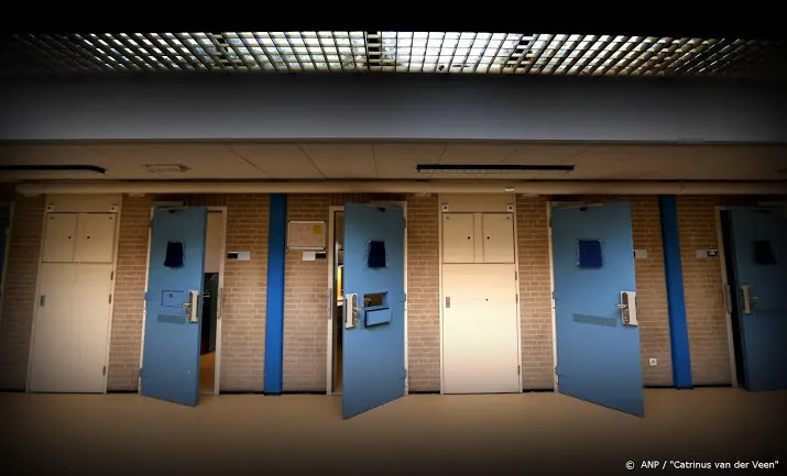 eis 5 jaar cel en tbs voor misbruik kinderen en verkrachting