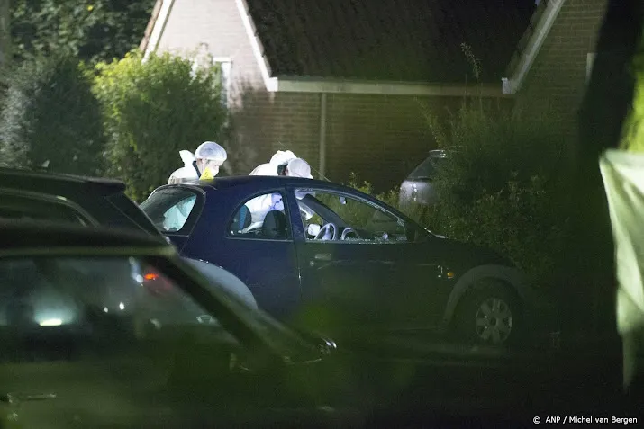 eis om weer 13 jaar cel voor spotter in liquidatiezaak huizen