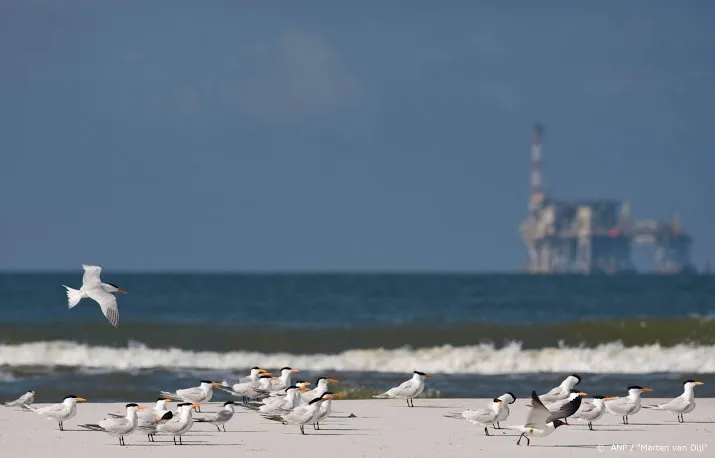 energiesector reserveert miljarden voor ontmanteling platforms