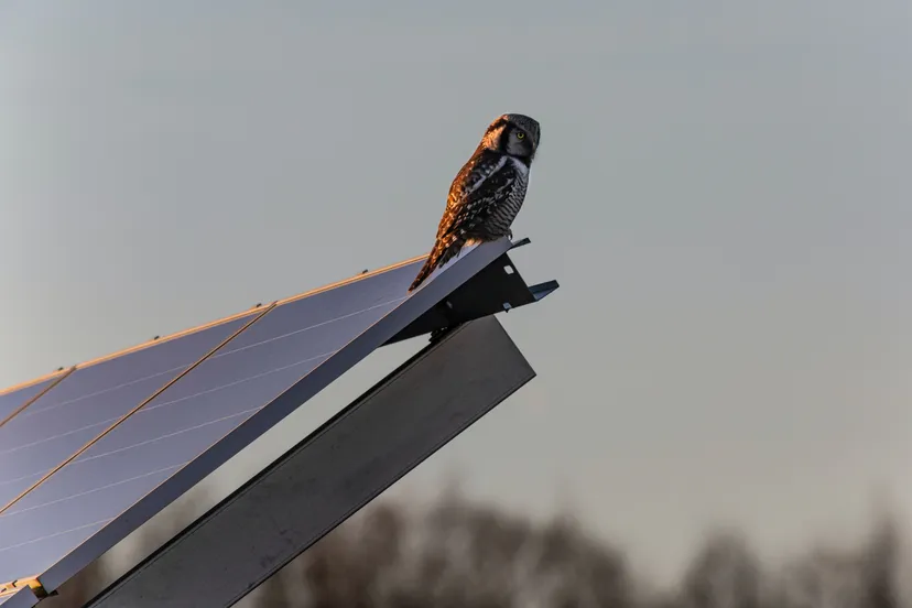 erik karits bf16q77a1my unsplash