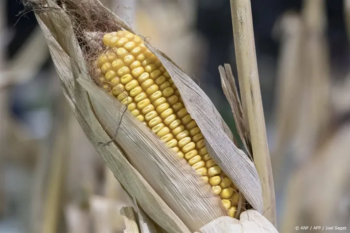 eu scherpt regels voor landbouwproducten uit oekraine aan
