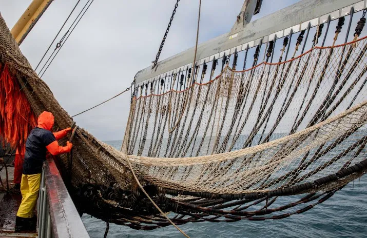 europees protest tegen pulsvissen