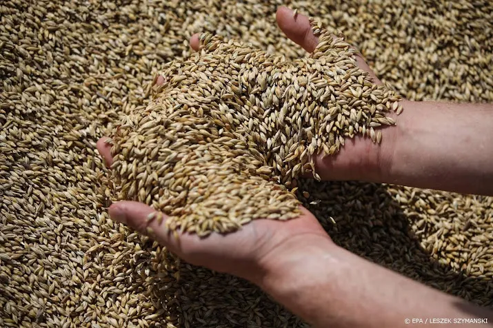 europese spoorbedrijven willen helpen met graanexport oekraine