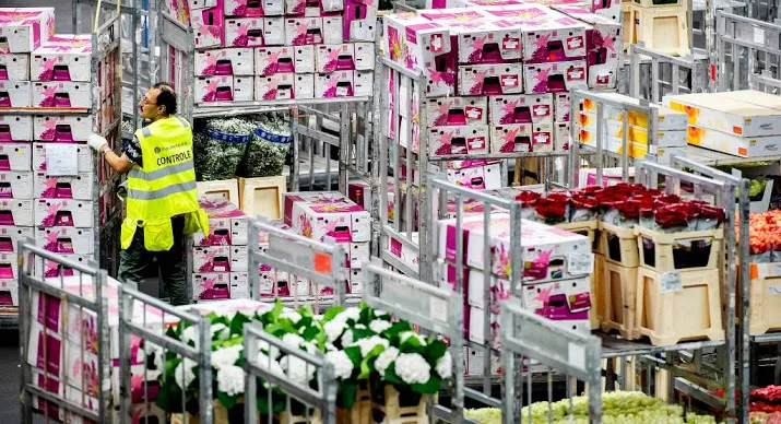 export bloemen en planten blijft gelijk