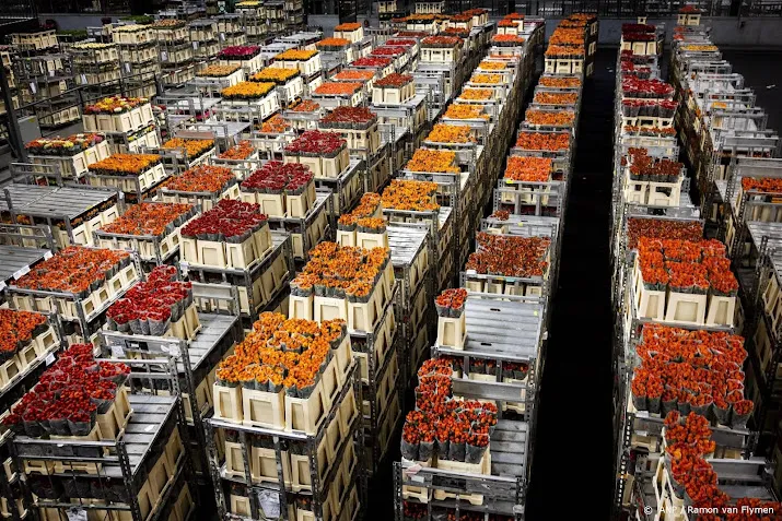 export bloemen en planten na tien maanden krimp weer enige groei