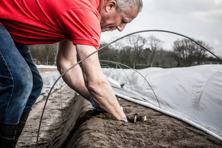 export landbouw opnieuw naar recordhoogte