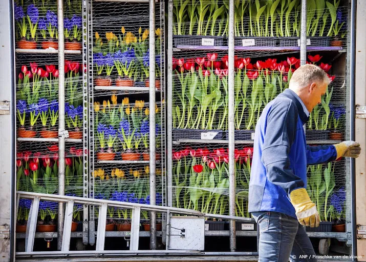 export nederlandse bloemen en planten op recordniveau