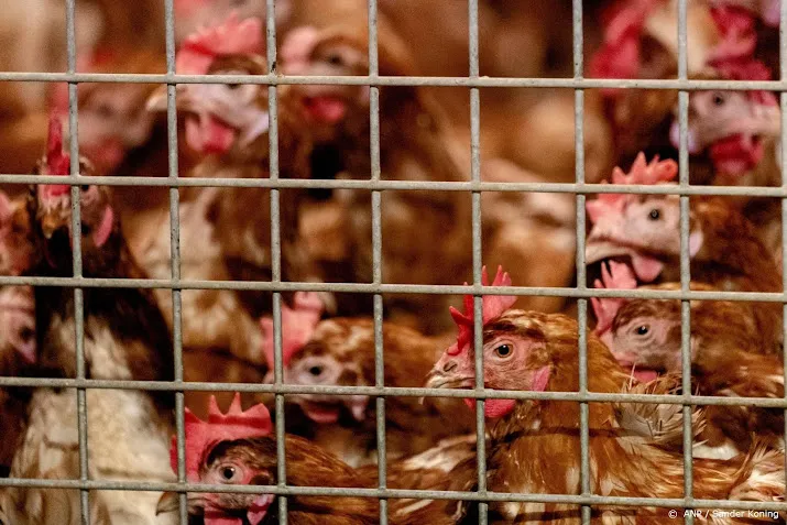 extra maatregelen na ontdekking vogelgriep in ede