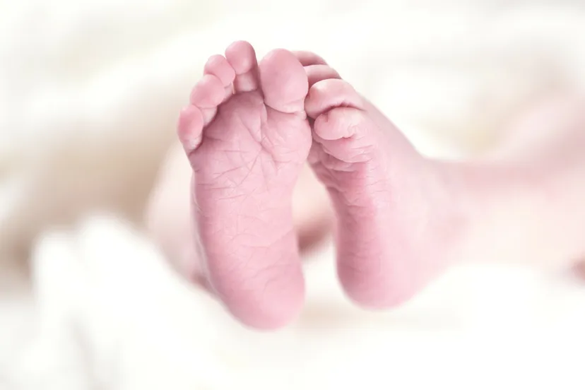 fabian baby dood brunssum hq pixabay