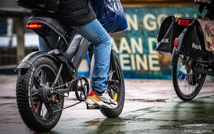 fabrikanten fatbikes willen illegaal opvoeren e bikes stoppen