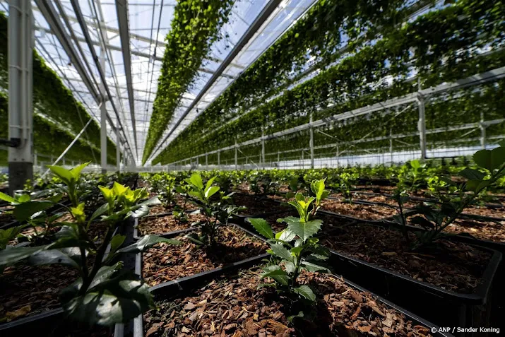 fabrikanten personeelstekort in tuinbouw blijft ondanks machines