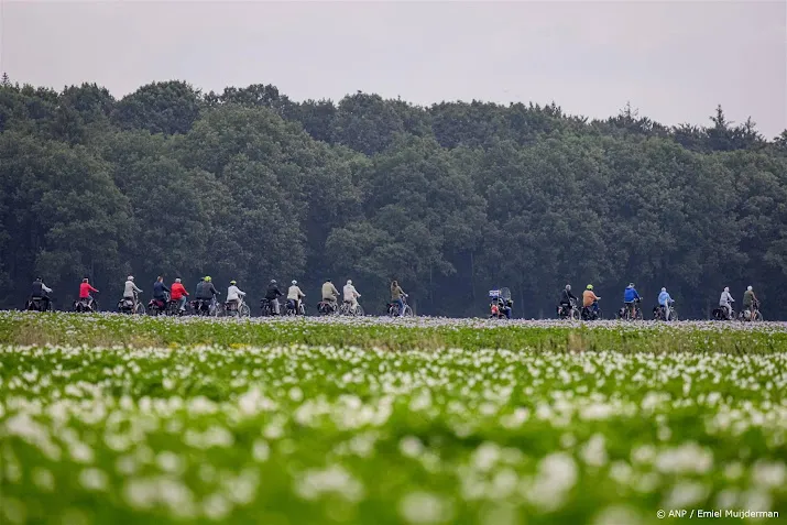 failliet e bikemerk qwic maakt doorstart