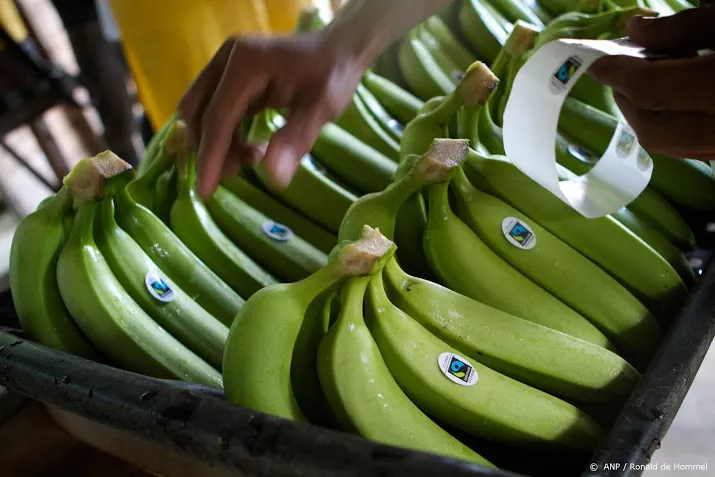 fairtrade bananen vinden gretig aftrek