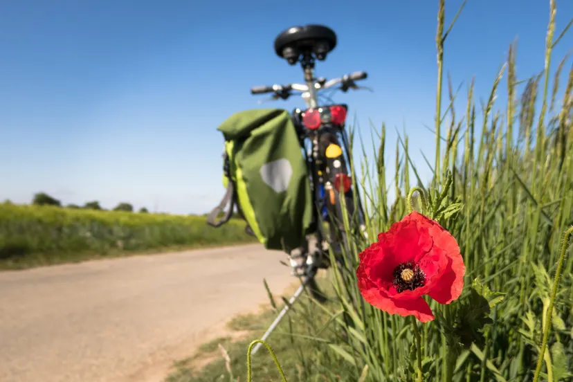 fietsroute tussen roosendaal en bergen op zoom pixabay