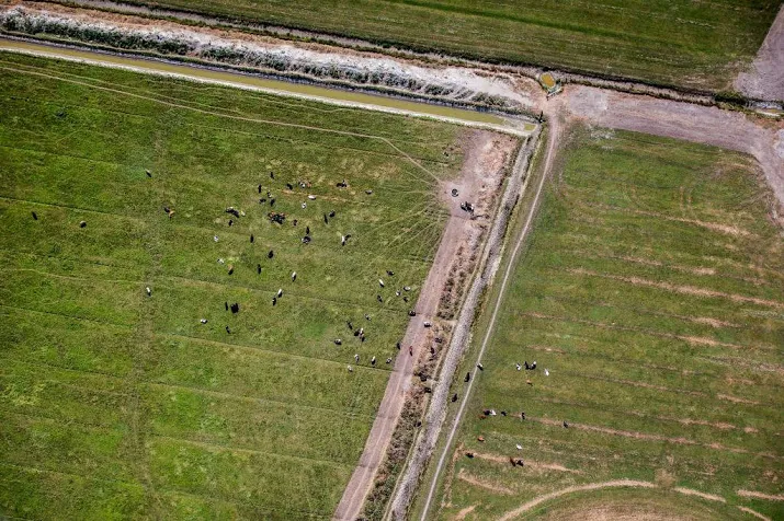 fiscus gunt boeren uitstel om droogte