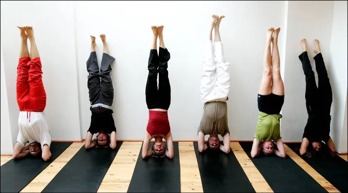 fitnessstart up onefit haalt miljoenen op