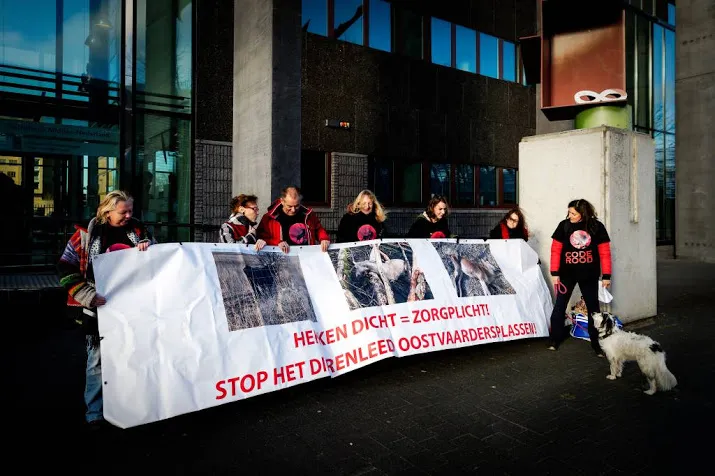 flevoland mag edelherten afschieten