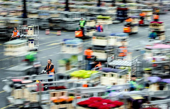 floraholland dringt aan op noodfonds voor bloemensector