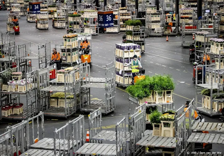 floraholland stelde werknemers jarenlang bloot aan asbest