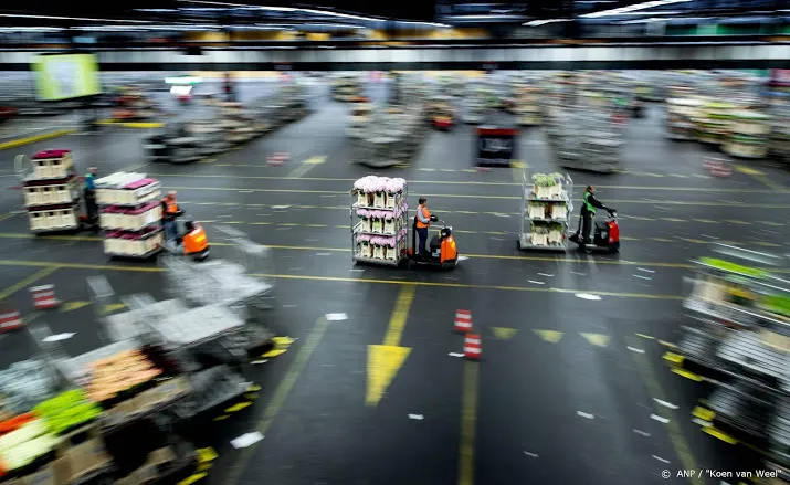 floraholland stelt grens aan aanvoer van bloemen en planten