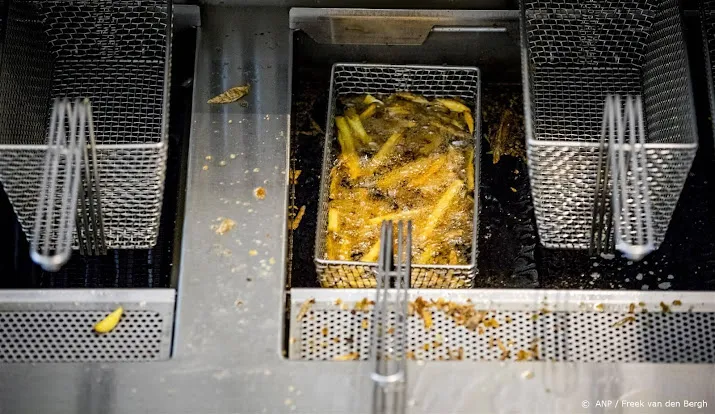 fnv ook werknemers frietproducent aviko gaan in staking