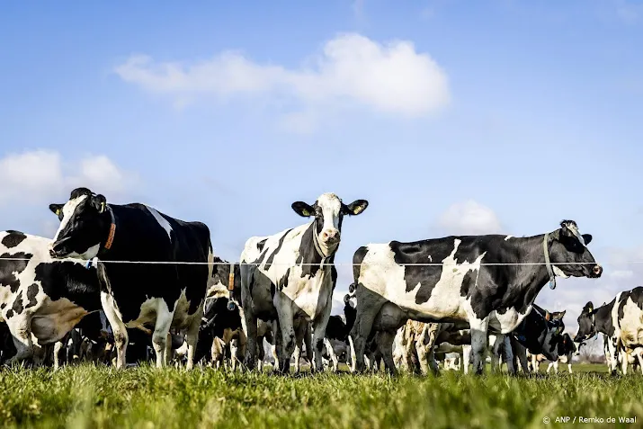 forfarmers verkoopt door coronacrisis minder veevoer in nederland