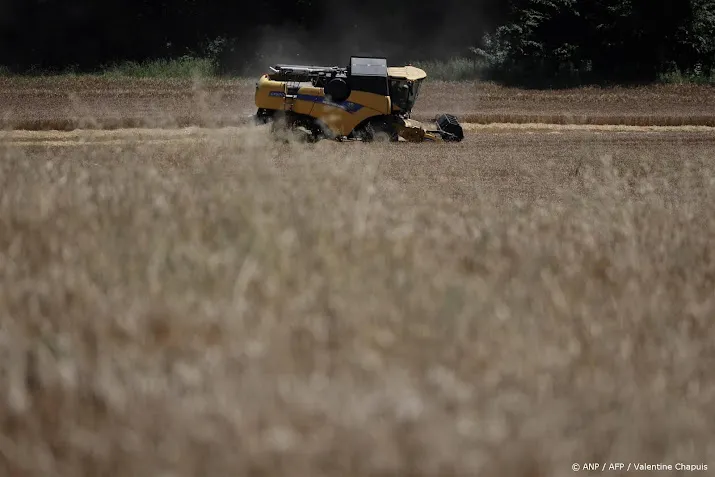 frankrijk oogst minder tarwe door hevige regenval