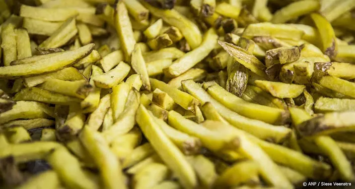 frietmaker aviko kan door stakingen niet aan vraag voldoen