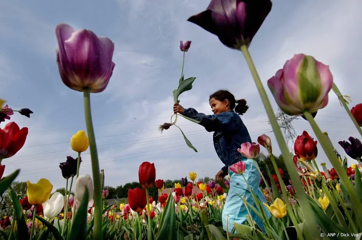 frisse moederdag luidt weersverbetering in
