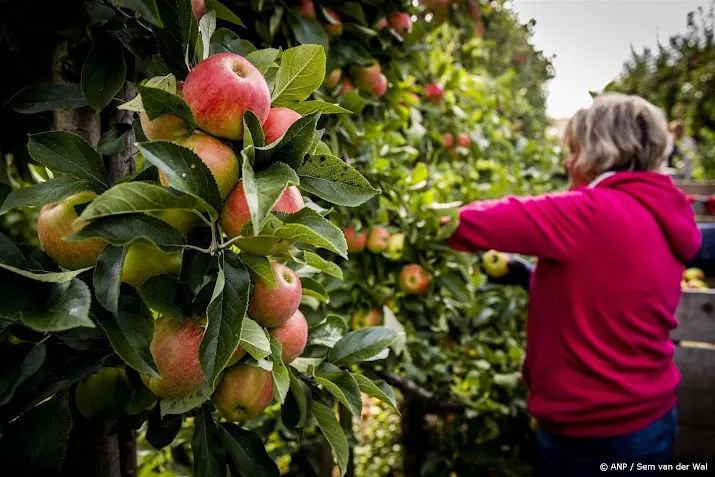 fruitteler mag schadelijke kever tijdelijk te lijf met insecticide