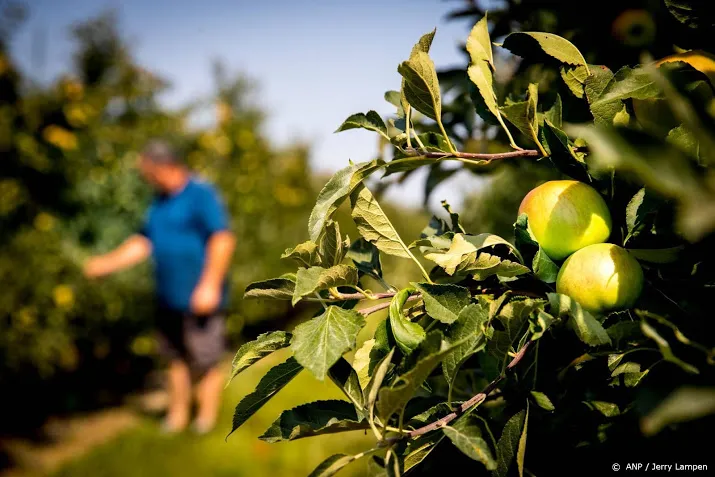 fruittelers eu moet sancties rusland herzien